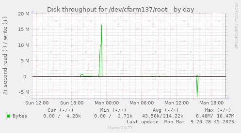 Disk throughput for /dev/cfarm137/root