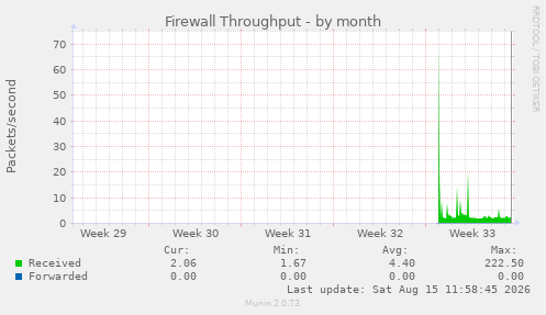 Firewall Throughput